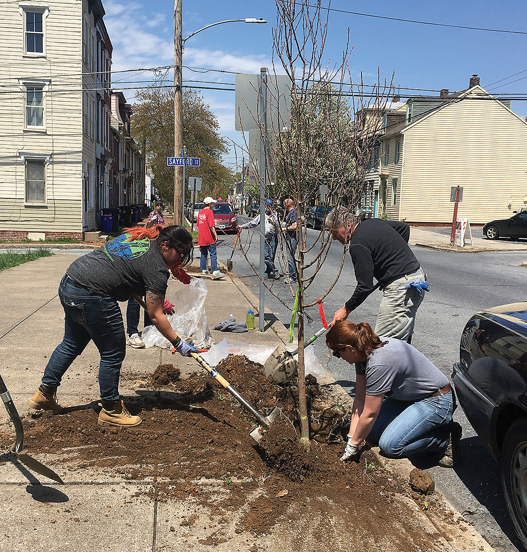 Harrisburg PA tree planting